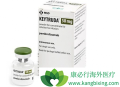 PD-L1�����Ƿ��Ӱ�쵽PD-1����������Ч����