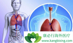 ��������(AFATINIB)���ҹ�EGFRͻ��ΰ����ߺ��۰����ߵ���ѡҩ��