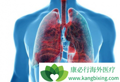 �ΰ�ҩ�ﰢ������(Gilotrif)����Щҩ�����໥����