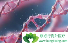 �԰�������(AFATINIB)��ҩ�Ļ������ж�������T790Mͻ��