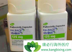 ���ٰ�ҩ����������(IBRANCE)�ڹ�����������