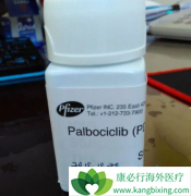 ��������(PALBOCICLIB)���Ƹ߷ֻ�֬��������Ч��