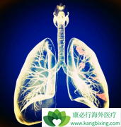 �ΰ�ҩ���������(GRLONAT)���Ժ���Щҩ�����ã�����Ч����Σ�