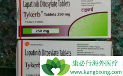 ��������(TYKERB)�¸������ƶ���ЩHER2�����ٰ����߻���Ч����