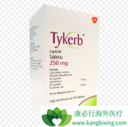 ��������(TYKERB)/̩��ɳ������HER2����θʳ�ܰ���