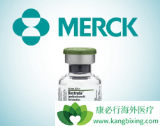 ʲô���������ݣ�PD-1�������Ӧ���������ݣ�