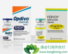 CTLA-4����Yervoy����PD-1����Opdivo���ƽ�ֱ����֢����Ч��