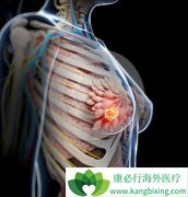 �ӳ���¡������Ƭ(Letrozole)����ʱ�����߻��ߵ��޽�չ������