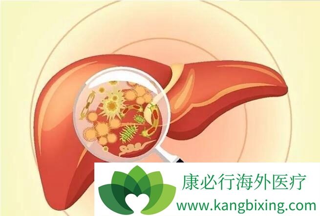 乙肝核心抗体阳性 乙肝核心抗体阳性