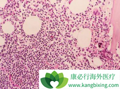 ��ϣ��(Tasigna)��������Ѫ���л�������