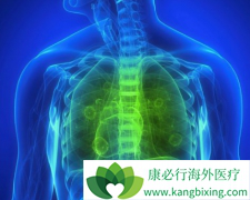 ɫ������(Ceritinib)��ǿCYP3A���Ƽ�ͬʱʹ��ʱ��ε�������