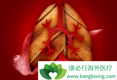 ɫ������(Zykadia)��ͷ��öԷΰ����ߵ�����Ч����ʲôӰ��