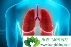 ɫ������/�����������Ʒΰ�Ч���õ��������������л���