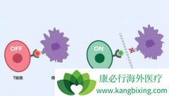 ��PD-1���Ƽ�������ص�Ƥ����Ӧ���ʺϸ���ͳ��ҩ�ﷴӦ