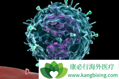 PD-1ҩ��Pembrolizumab���ҹ����е����ƽ��������鵥��