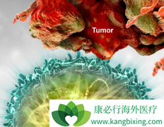 ʹ�ö༪������Ӱ��PD-1ҩ��Opdivo���Ƹΰ���Ч��