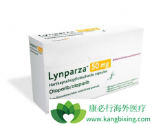 �����İ������᲻����Ӧ����Щ�������������������Щ��֢��