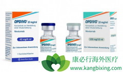 ���䵥��������ҩ���Ʒ�Сϸ���ΰ���Ч���뻯������ĸ��ã�