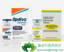 ��PD-1���Ƽ�Ϊ�����İ�֢�����Ʒ��Ѿ����й�����