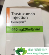 �����鵥��ͬ�е�ҩ��HER2���Ƽ�������������