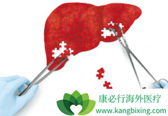 ����ҩ��������(STIVARGA)/��������������ƶ༪����ҩ��