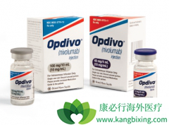 PD-1���Ƽ�ŷ���֣�Opdivo�����ڼ۸�Ԥ�� Opdivo���۶��ٺ��ʣ�
