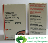 ����ҩ����������(VOTRIENT)�����ڹ�������������