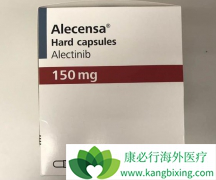 ����������Ч�ϳ��������� ������ȴ����ɫ������