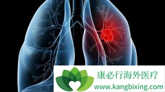 �ΰ�������T790M����ͻ����AZD9291����Ч����Σ�