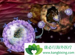 ��̹/ƻ����������������Ƹ�������ҩ��θ����������