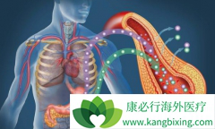 ��ɼ��/̩����������ҩ������ת�������ٰ�Ч����ô��