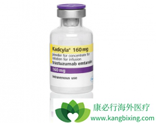 ʲô��T-DM1���壿T-DM1�������������Щ��֢��