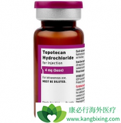 �����濵��Topotecan��������Сϸ���ΰ��ı�׼����ҩ��