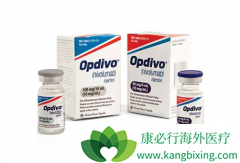 �����������Ʒ�����Сϸ���ΰ������е�����Ч��