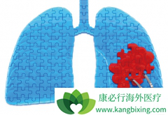 ��������(Iressa)ֻ���������Ƽ�������ʧ�ܵķΰ�������