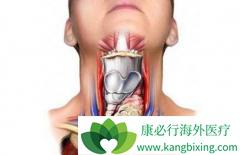 ����ҽ���Ķ༪��/��������۸���Ȼ��ӡ�ȶ༪����