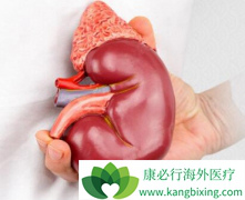 ӡ�ȶ༪��/�������������������ߵ���ҩָ��