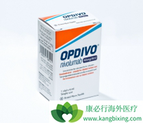 PD-1���Ƽ��������ڷΰ���ת�Ƶ�������