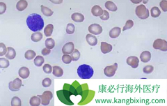 ��������(Imatinib)��ҩ���������Ƹ����þ�Ϊ����ҿɿ���