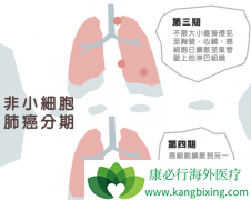 ��Щ���͵ķ�Сϸ���ΰ������ʺ�ʹ�÷��Ӱ���ҩ������