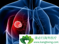 ����ҩ�ﵥҩ����������ҩ�������ڷ�Сϸ���ΰ�Ч���ã�