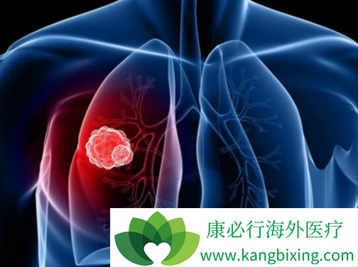 免疫药物 免疫药物