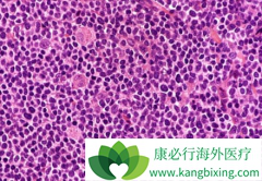 ��³����(IBRUTINIB)�Ĳ����¼���ʱ���ӳ�������