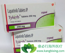 ���ٰ���������������(LAPATINIB)�����õ�ҩ���ƻ���������ҩ��