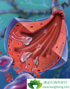 ����/���������������񾭼�������ϵ��������Ч����ô��