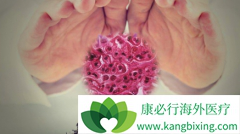 ����ø�����Ƽ�����/��������������ϵͳ�Ժ���Ǵ���