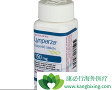 �����ѳ����İ���ҩ���뵥��¡��������Щ��