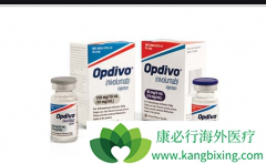 ����ʹ��PD-1���Ƽ�����ǰ��Ҫ�������ͻ�为����