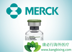 ���߼������Ƽ����ƺ�ɫ������Ч����ô����