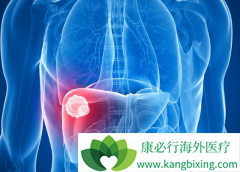 �Ǿƾ���֬���Ըβ��ᷢչ�ɸΰ���